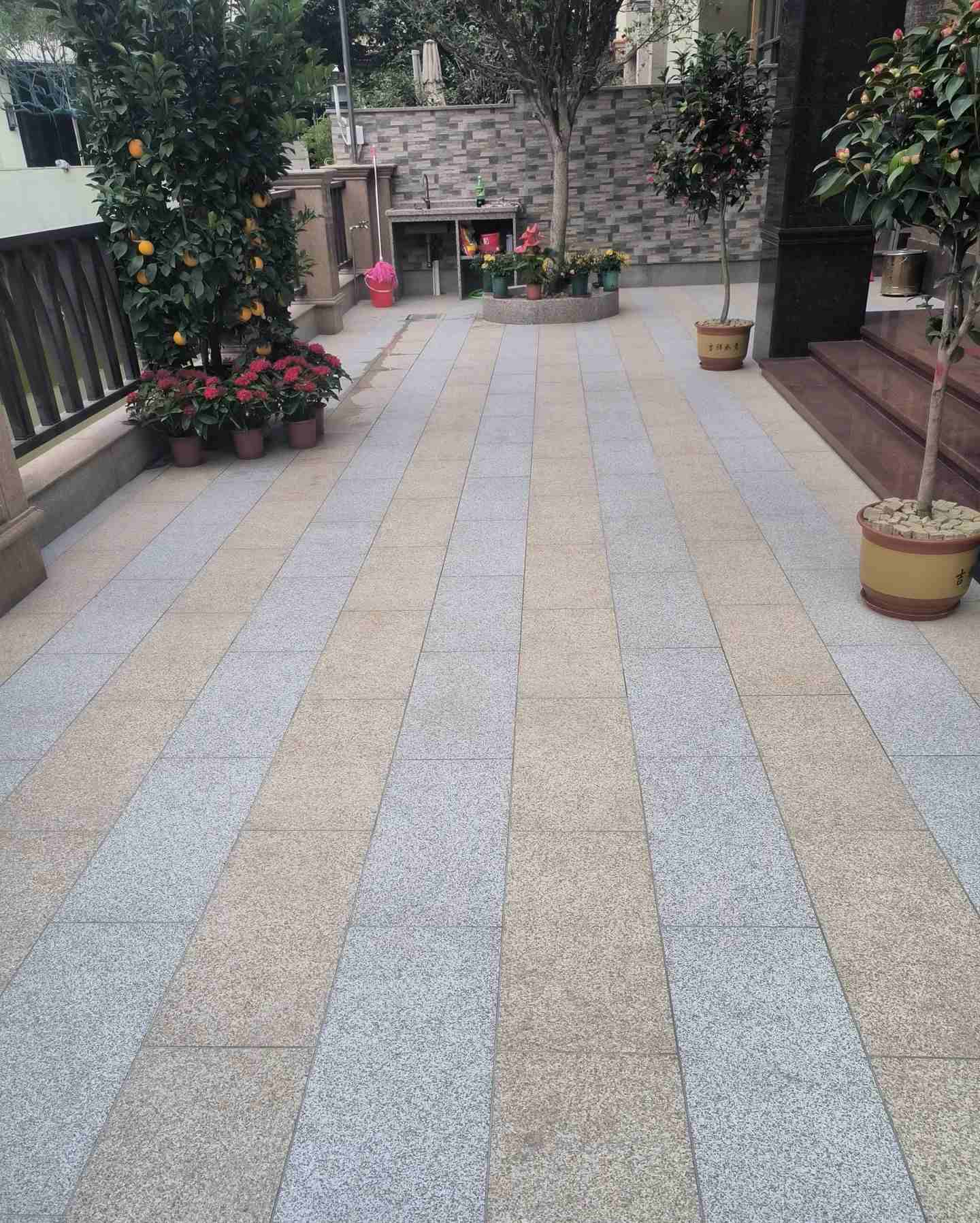 海南 黄金麻白麻荔枝面庭院铺装展示