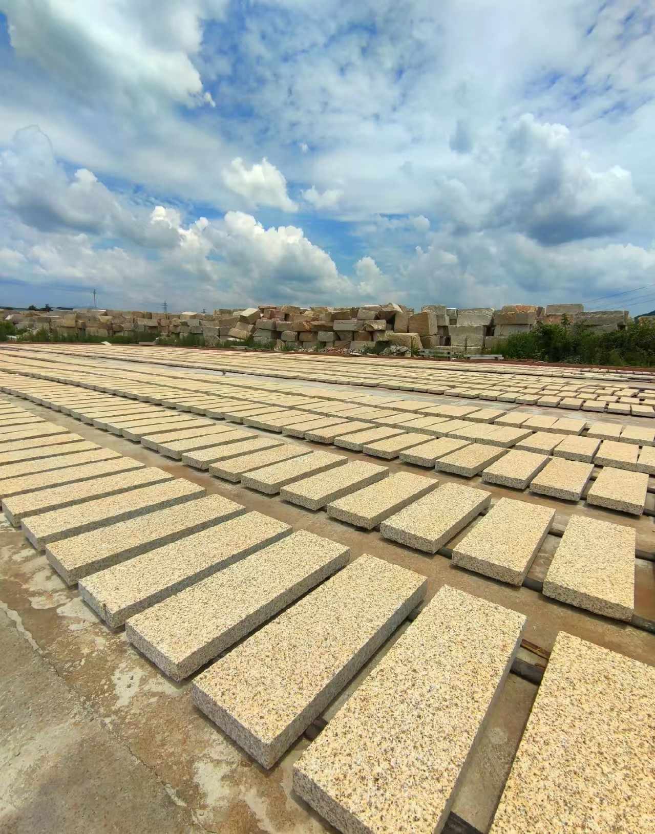 海南 黄金麻荔枝面花岗岩石材地铺石防护中